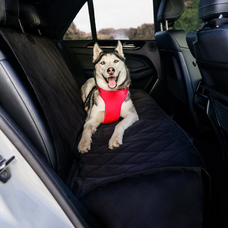 dog car seat covers