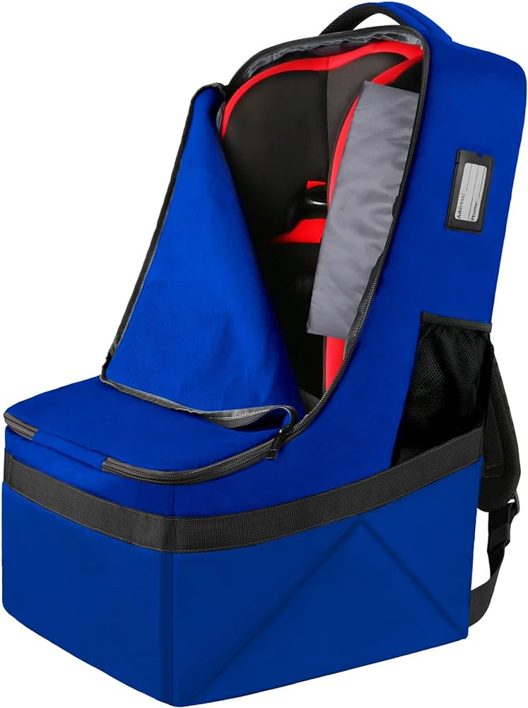 nuna car seat bag